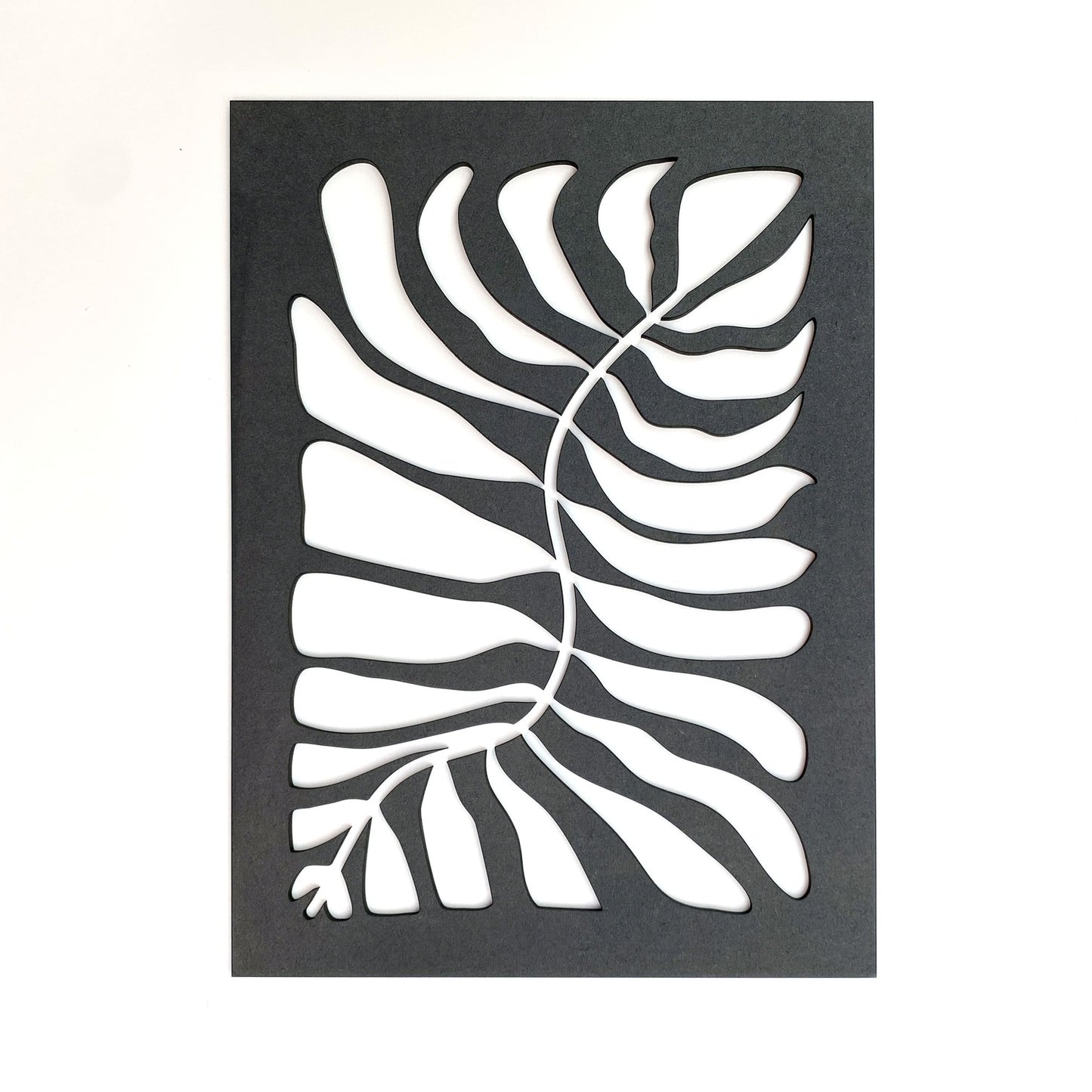 Colección Matisse - Helecho