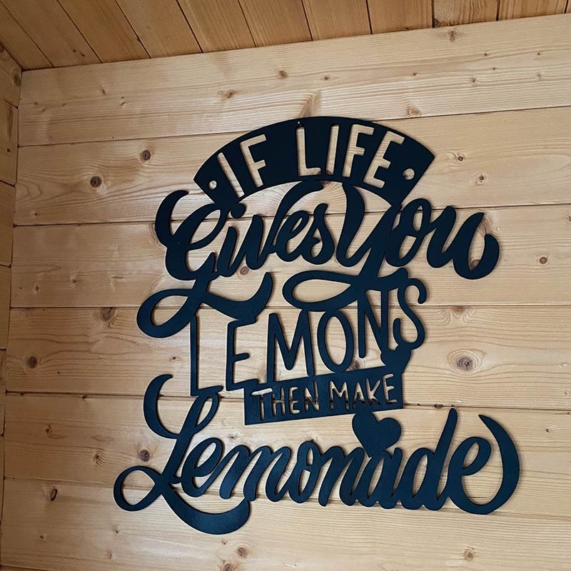If life gives you lemons then make lemonade