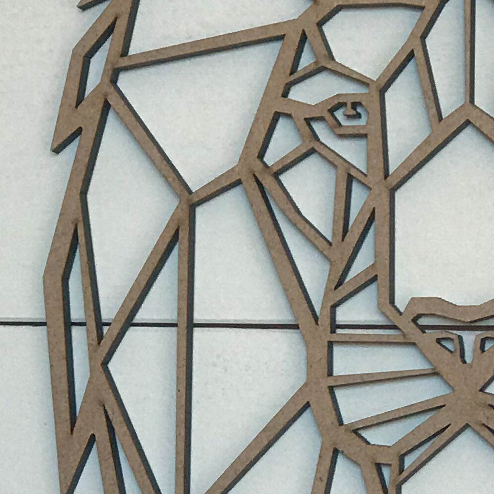 Figura geometrica Leon